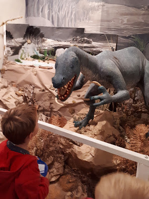 Musée de Préhistoire de Tourrette-Levens