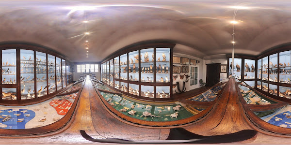 Musée d'Histoire Naturelle Joseph Abeilhé