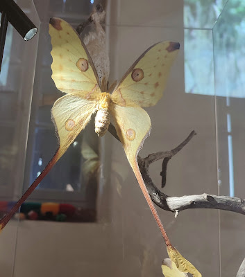 Musée vivant du ver à soie (Magnanerie de Lagorce)