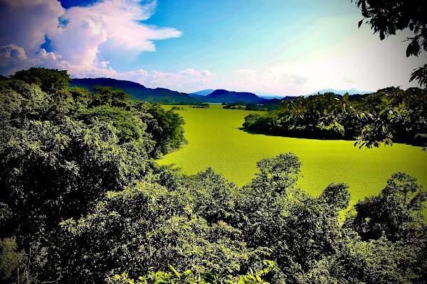 Museo "Caserío Los Vides"
