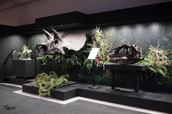 Museo de Ciencias Naturales de Arnedo Santiago Jiménez