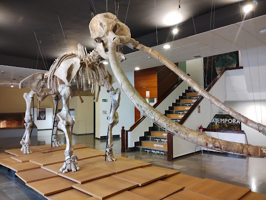 Museo de Ciudad Real