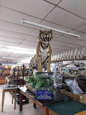 Museo De Historia Natural UNAH