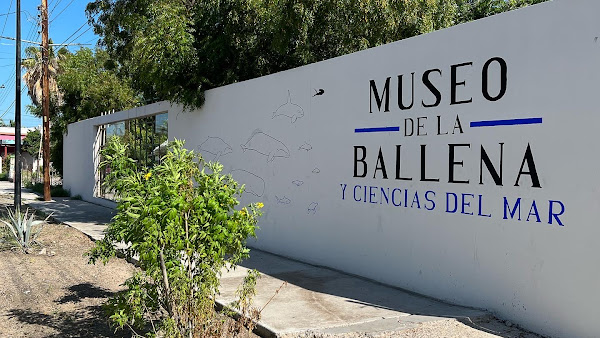 Museo de la Ballena y Ciencias del Mar