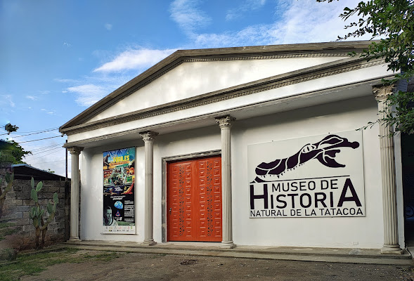 Museo de la Tatacoa