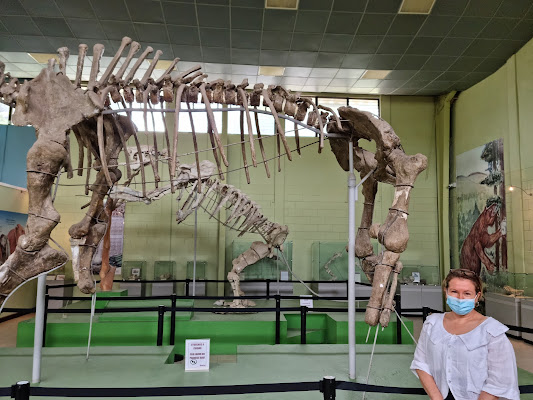 Museo de Paleontologia y Arqueología de Estanzuela