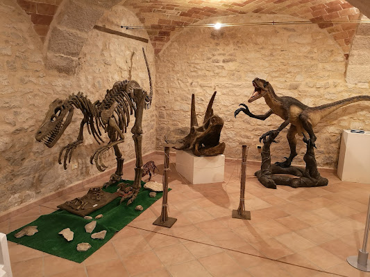 Museo dei Fossili e delle Ambre