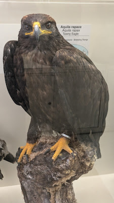 Museo di Storia Naturale - Centro Naturalistico Sammarinese