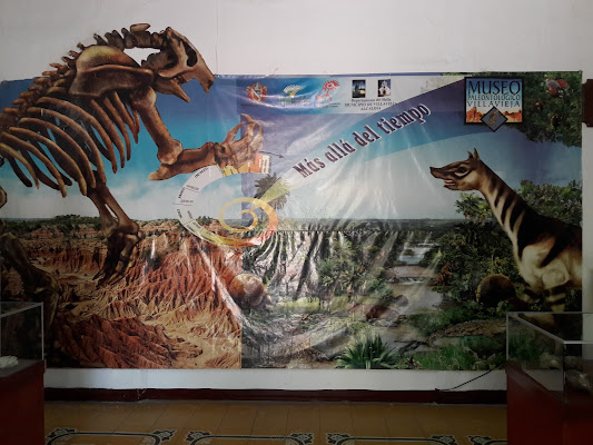 Museo Paleontológico
