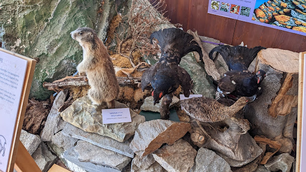 Museo Tattile di Scienze Naturali del Lago e della Montagna