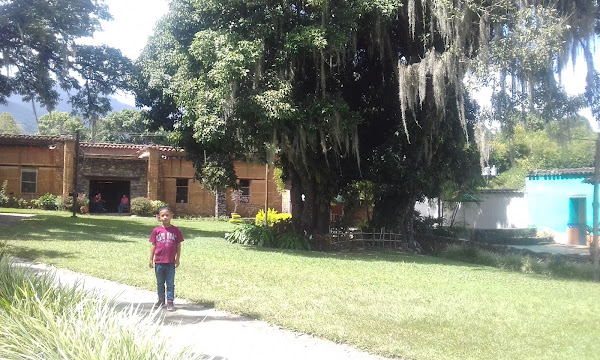 museo trapiche de los clavos