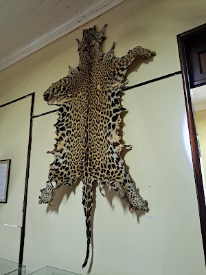 Museu Amazônico - UFAM