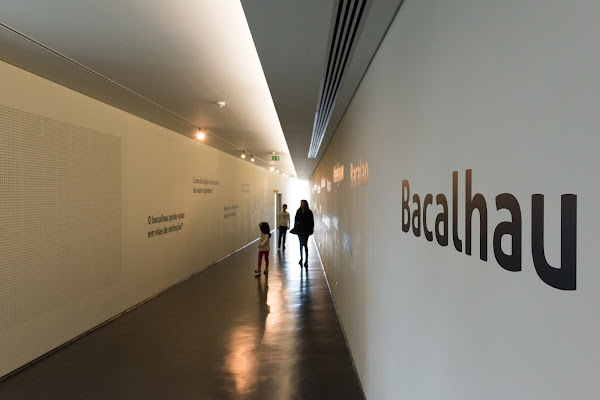 Museu Marítimo de Ílhavo e Aquário dos Bacalhaus