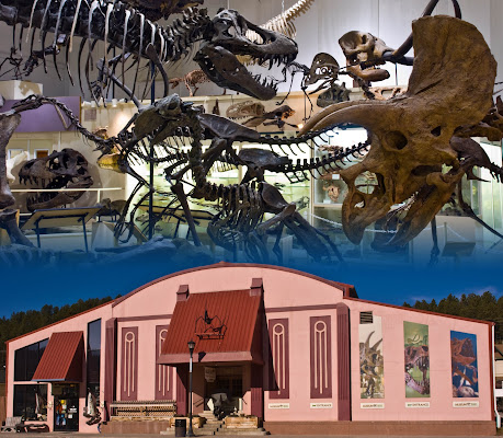 Museum @ Black Hills Institute