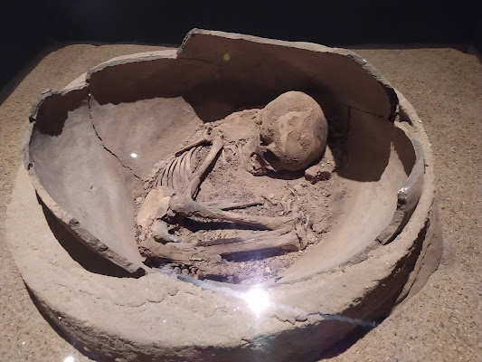 Museum of American Man