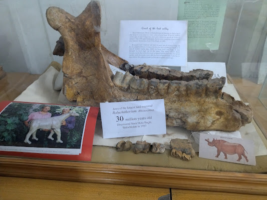 Museum of Earth Sciences, GSP HQs, Quetta