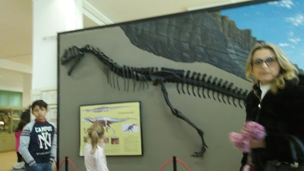 Museum of Earth Sciences