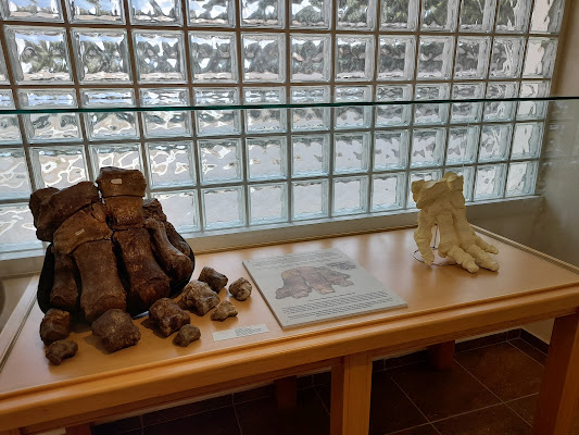 Museum of Natural History - Milia ...