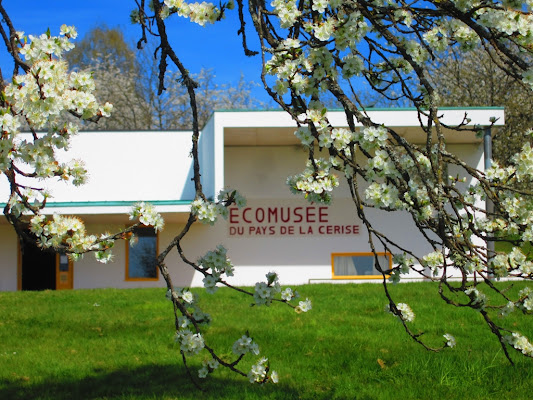 Museum of the Land of Cherry