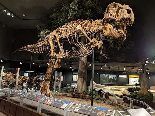 Museum of the Rockies