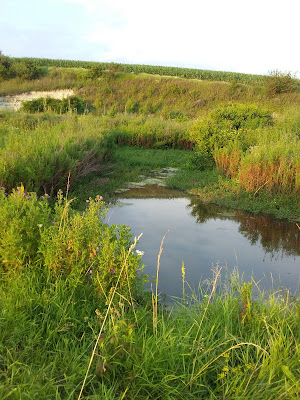 Museum of the village Vikno