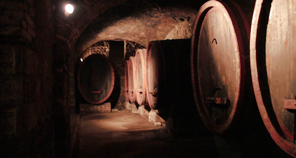 MUVIS - Museum of Wine and Agri-food Sciences