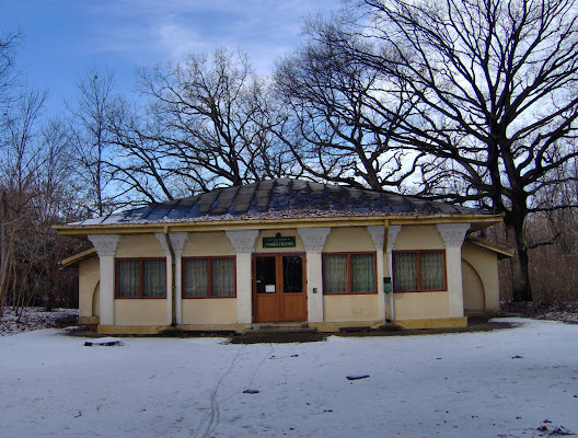 Muzeul Brăilei-Secţia Ştiinţele Naturii
