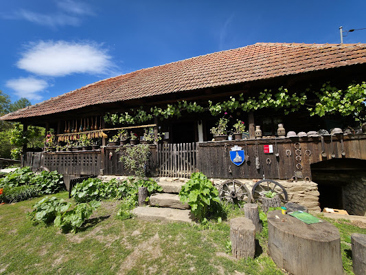 Muzeul Satului Hațegan