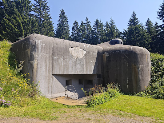 Muzeum Tvrz Hanička