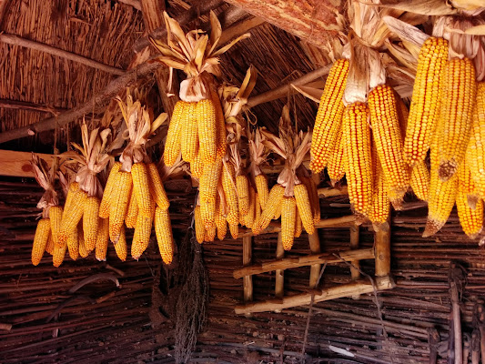 Muzey Horyunsʹkoyi Kulʹtury