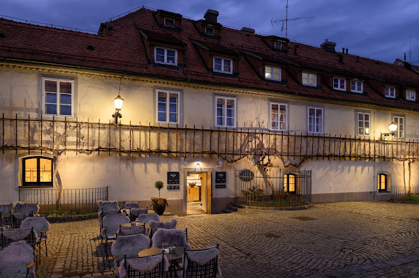 Najstarejša trta / World's Oldest Grapevine