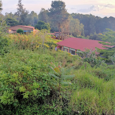 National Herbarium of Rwanda