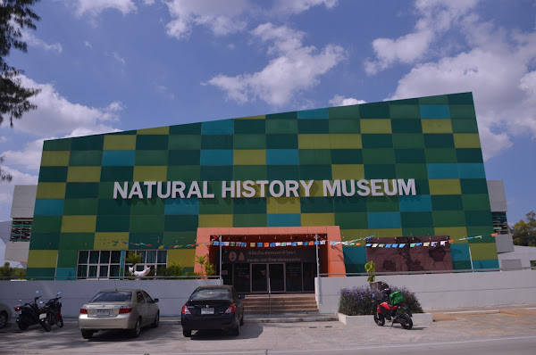 Natural History Museum Khon Kaen University