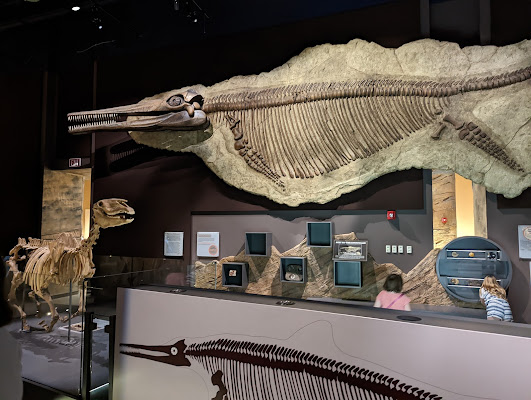 Nevada State Museum, Las Vegas