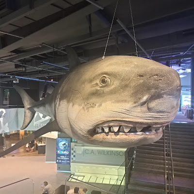 New Plymouth isite Visitor Information Centre