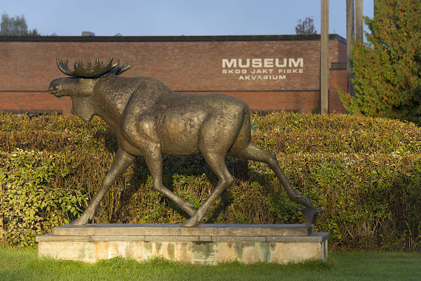 Norwegian Forestry Museum