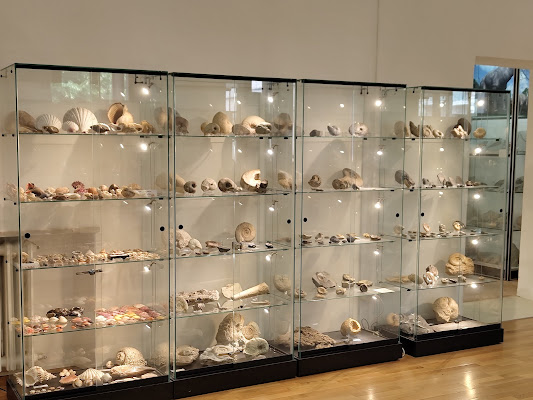 Palazzo Bracci Pagani