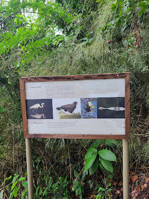 Panama Rainforest Discovery Center