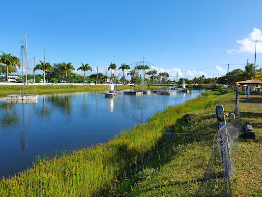 Parque da Sementeira