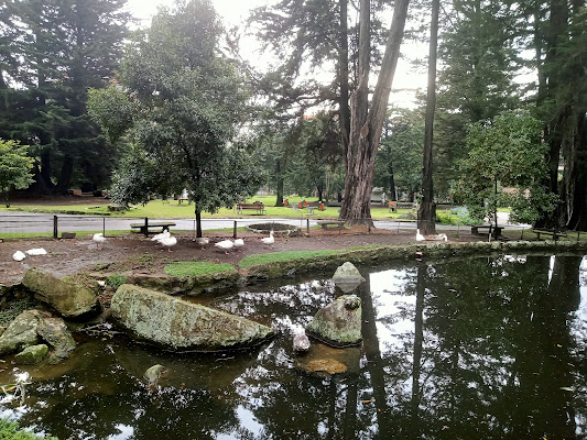 Parque del Chicó - Mercedes Sierra de Pérez