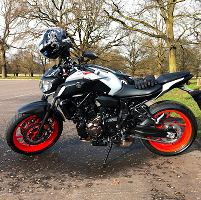 Pļaviņu Nāves ozols