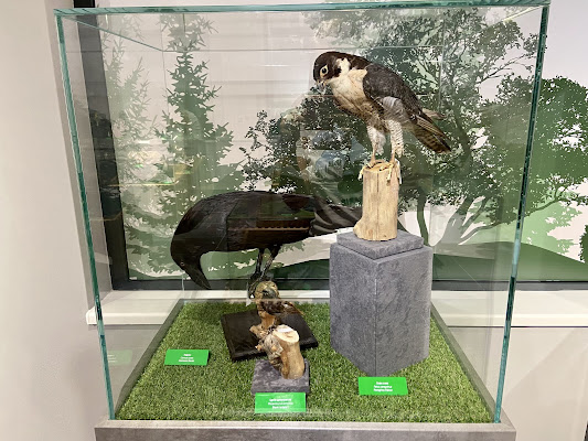 Prirodnjački centar