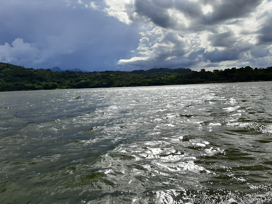 Proyecto Museo del Agua y Jardín Botánico