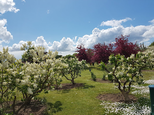 Pētera Upīša Dārzkopības muzejs
