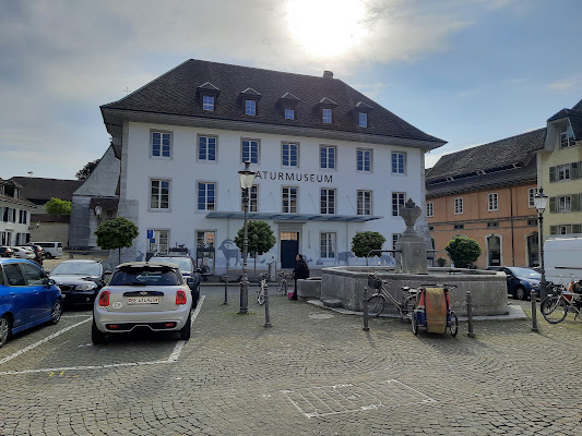 Puppen- und Spielzeugmuseum