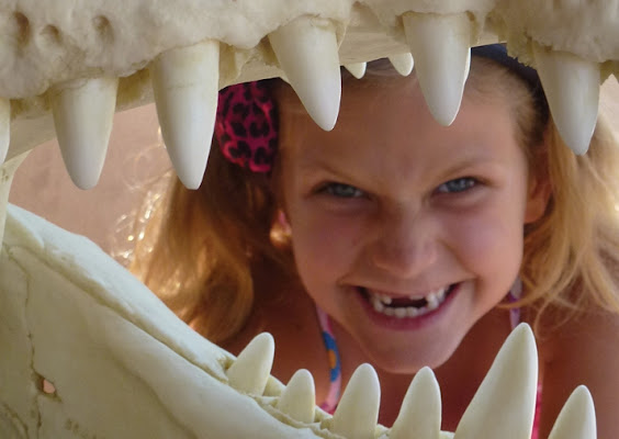 Rattlesnake Museum & Gift Shop