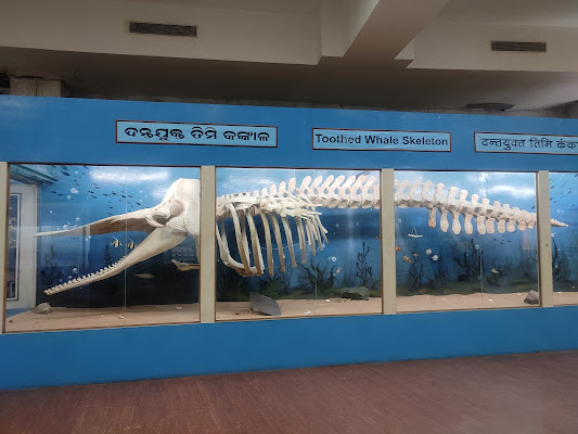 Regional Museum of Natural History