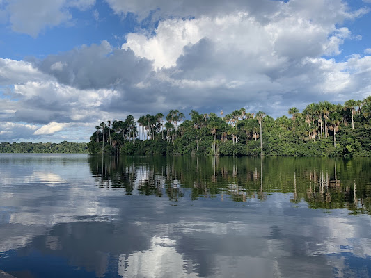 Reserva Nacional Tambopata