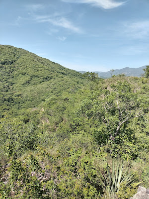 Reserva Natural y Forestal