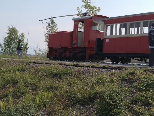 Rhein-Schauen Museum und Rheinbähnle